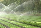 Victory Heights WAlandscaping-irrigation-11.jpg; ?>
